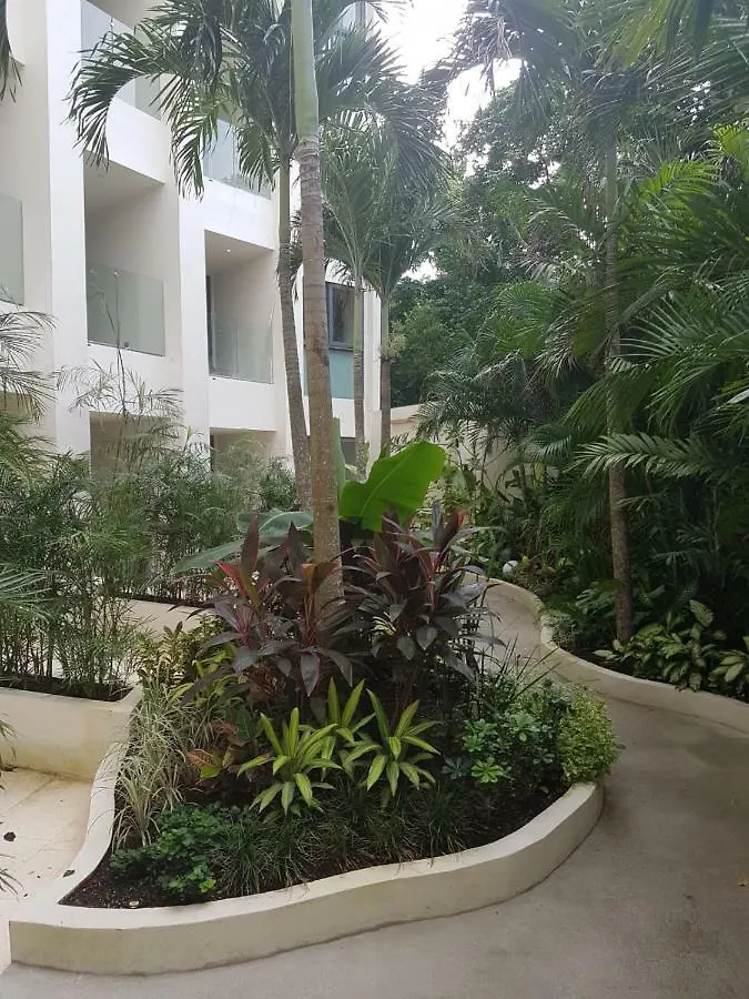 Lägenhet Miranda Condo Playa del Carmen Mexiko